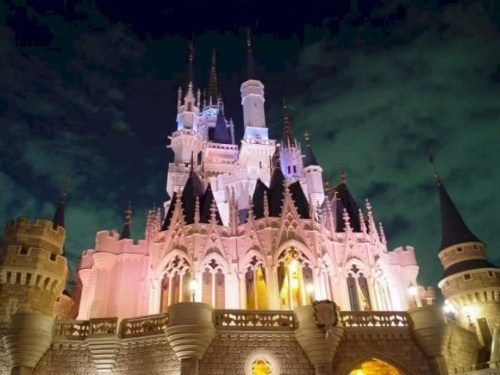 One of the most beautiful things you can see in Walt Disney World is the 