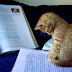 Informa IP events return as in-person events and come with a special IPKat readers’ discount