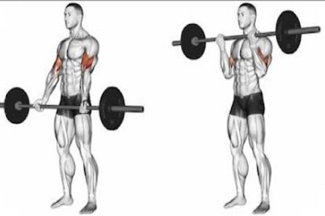 Wide-Grip Standing Barbell Curl exercise
