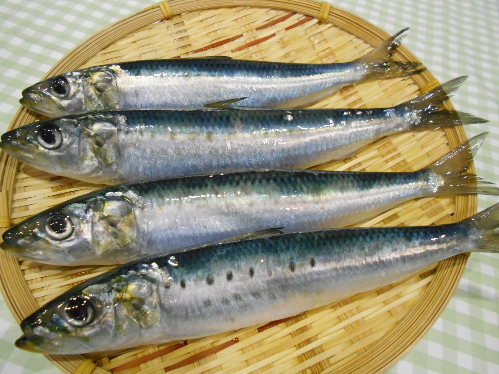 市場だより イワシ 放送日７月１０日