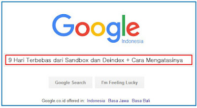 Cara Mengatasi Google Sandbox dan Deindex Akibat Sneaky Mobile Redirects Salam -  Cara Mengatasi Google Sandbox dan Deindex Akibat Sneaky Mobile Redirects