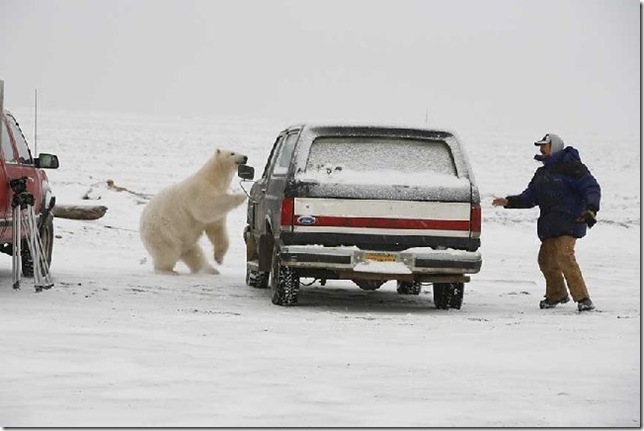 alaska_02