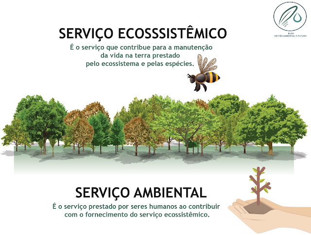 Serviço ambiental