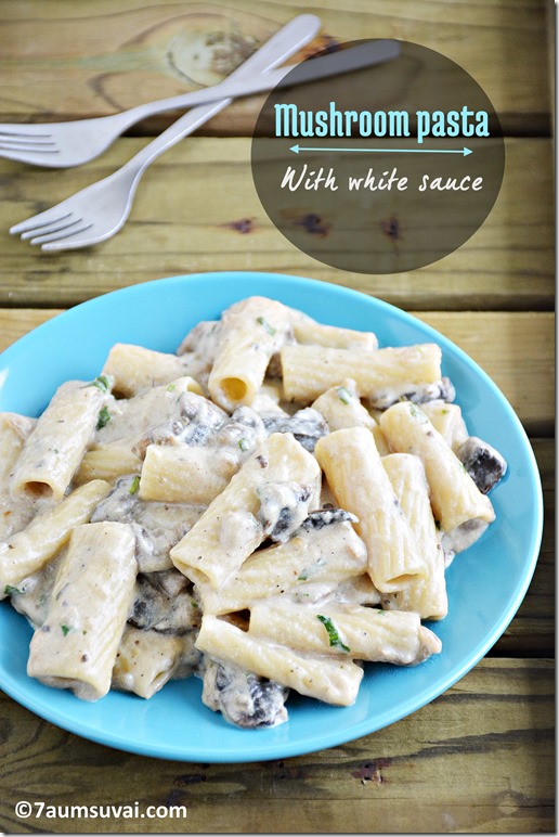 Mushroom pasta with white sauce 