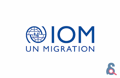 Job Opportunioy at IOM - Project Officer (PSEA)