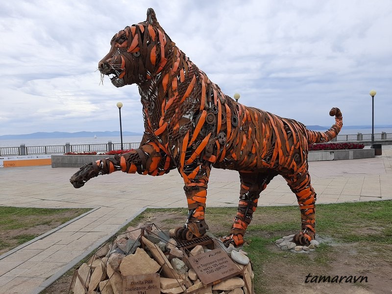 Тигр на набережной Спортивной гавани