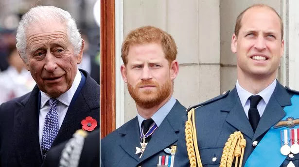 Criticism Mounts Against King Charles and Prince William for Alleged Unfair Treatment of Prince Harry