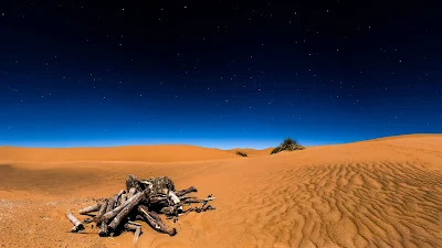 Papel de parede natureza, full hd, deserto do saara a noite, céu estrelado