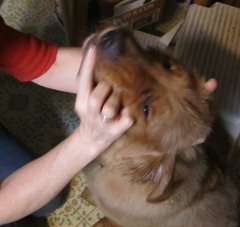 brushing my teeth 004