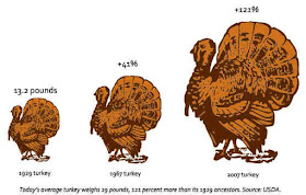 heritage-turkey-size