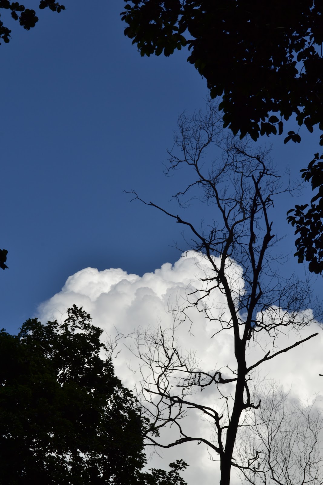 Wordless Tuesday Awan Dan Matahari