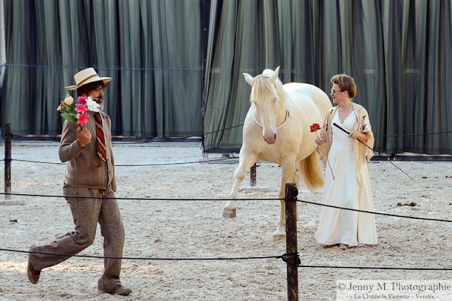 photographe équestre animaux spectacle vivant vendée 85