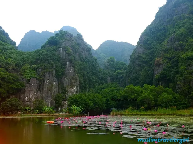 traveling-ke-tam-coc-ninh-binh