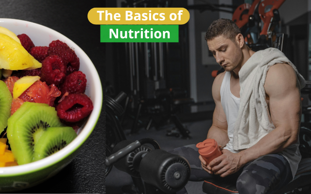 The Basics of Nutrition in Bodybuilding for Beginners