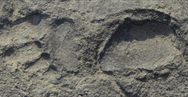 In the shadow of a volcano inward northern Tanzania For You Information - Treasure trove of fossil human footprints inward northern Tanzania is vanishing