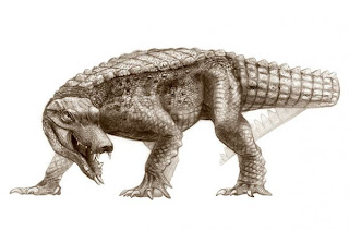 RatCroc (Araripesuchus rattoides) Jenis Buaya Jaman Purba