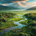 Wetlands in India