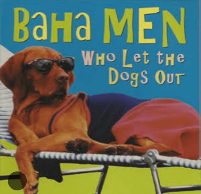 Music: Who Let The Dogs Out - Baha Men [Throwback song]