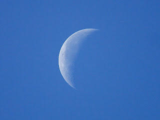 Foto Bulan Biru Images Blue Moon Gambar