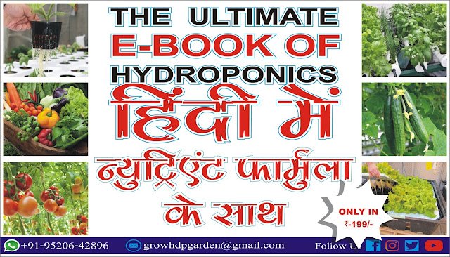 Hydroponics E Book