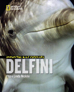 Delfini. Incontri ravvicinati. Ediz. illustrata