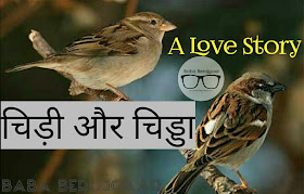 विश्व गोरैया दिवस -  World Sparrow Day (20 March)