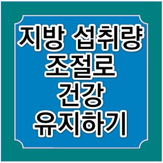 지방 섭취량 조절로 건강 유지하기의 썸네일 이미지입니다.
