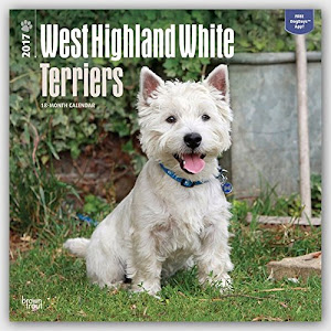 West Highland White Terriers - Westies 2017 - 18-Monatskalender mit freier DogDays-App: Original BrownTrout-Kalender [Mehrsprachig] [Kalender] (Wall-Kalender)