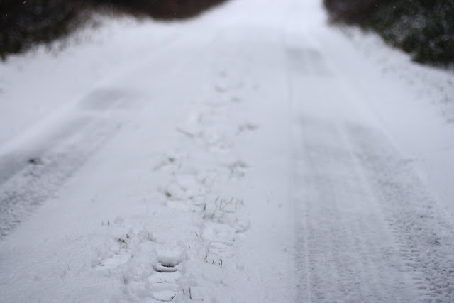 footsteps in the snow