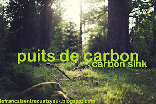 puits carbon sink french vocabulary environment