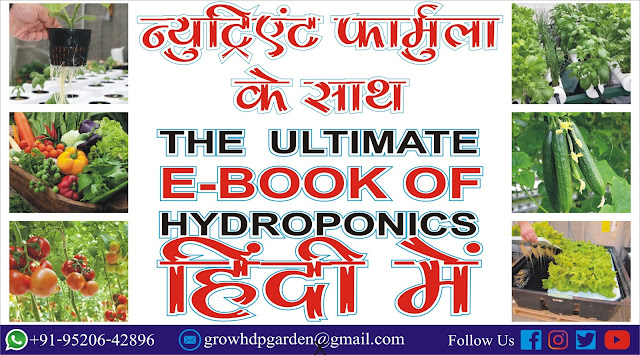 हाइड्रोपोनिक्स, Hydroponics हाइड्रोपोनिक्स तकनीक