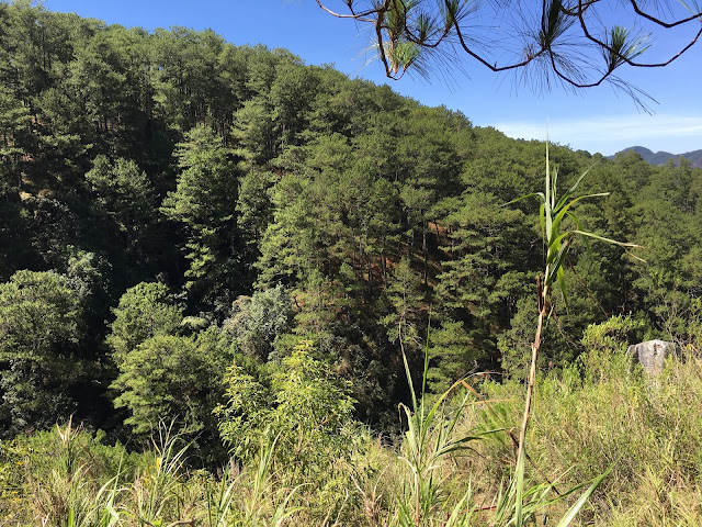 Sagada Echo Valley