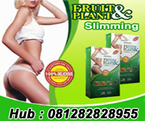 pelangsing badan,pelangsing tubuh,pelangsing herbal,pelangsing alami,fruit and plant natural herbal,obat pelangsing badan herbal alami,perut langsing,