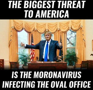  Coronavirus Memes