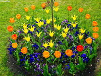 circle flower garden ideas