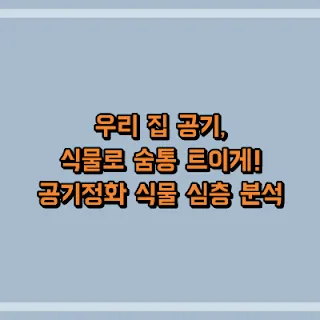 우리 집 공기, 식물로 숨통 트이게! 공기정화 식물 심층 분석