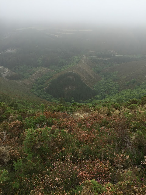 Spain, Marronda forest and the Eo River   by E.V.Pita (2015)  http://evpita.blogspot.com/2015/06/spain-marronda-forest-and-eo-river.html   Fraga de Marronda - río Eo (Baleira, Lugo)  por E.V.Pita (2015)