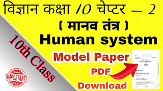 Human system important question