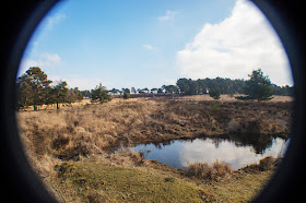 Old Lodge Nature Reserve, Ashdown Forest.  22 February 2018