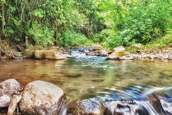 [http://FindWisata.blogspot.com] Destinasi Wisata Pemandian Alam Air Terjun Batu Putu Lampung