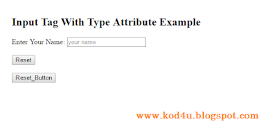 HTML Input Tag With Reset Example