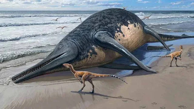 El descubrimiento del Ichthyotitan severnensis se realizó de manera casual, mientras Justin Reynolds y su hija de 11 años buscaban fósiles en la playa de Somerset. Tropezaron con fragmentos de una mandíbula gigante, lo que llevó al hallazgo de una especie desconocida de reptil marino, posiblemente el más grande que haya existido