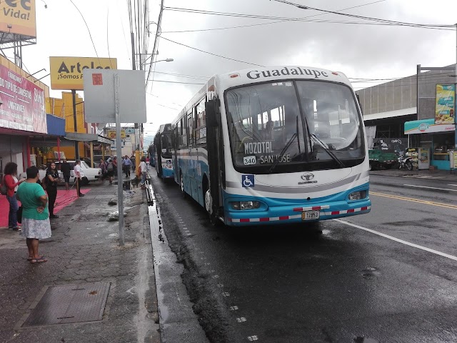 Buses podrán transportar pasajeros de pie