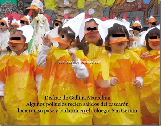 gallina marcelina 1
