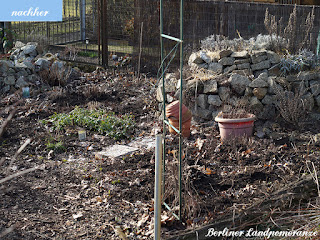 Garten nach dem Staudenschnitt