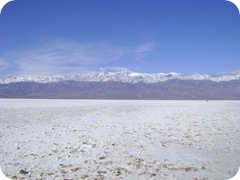 TDSC04139