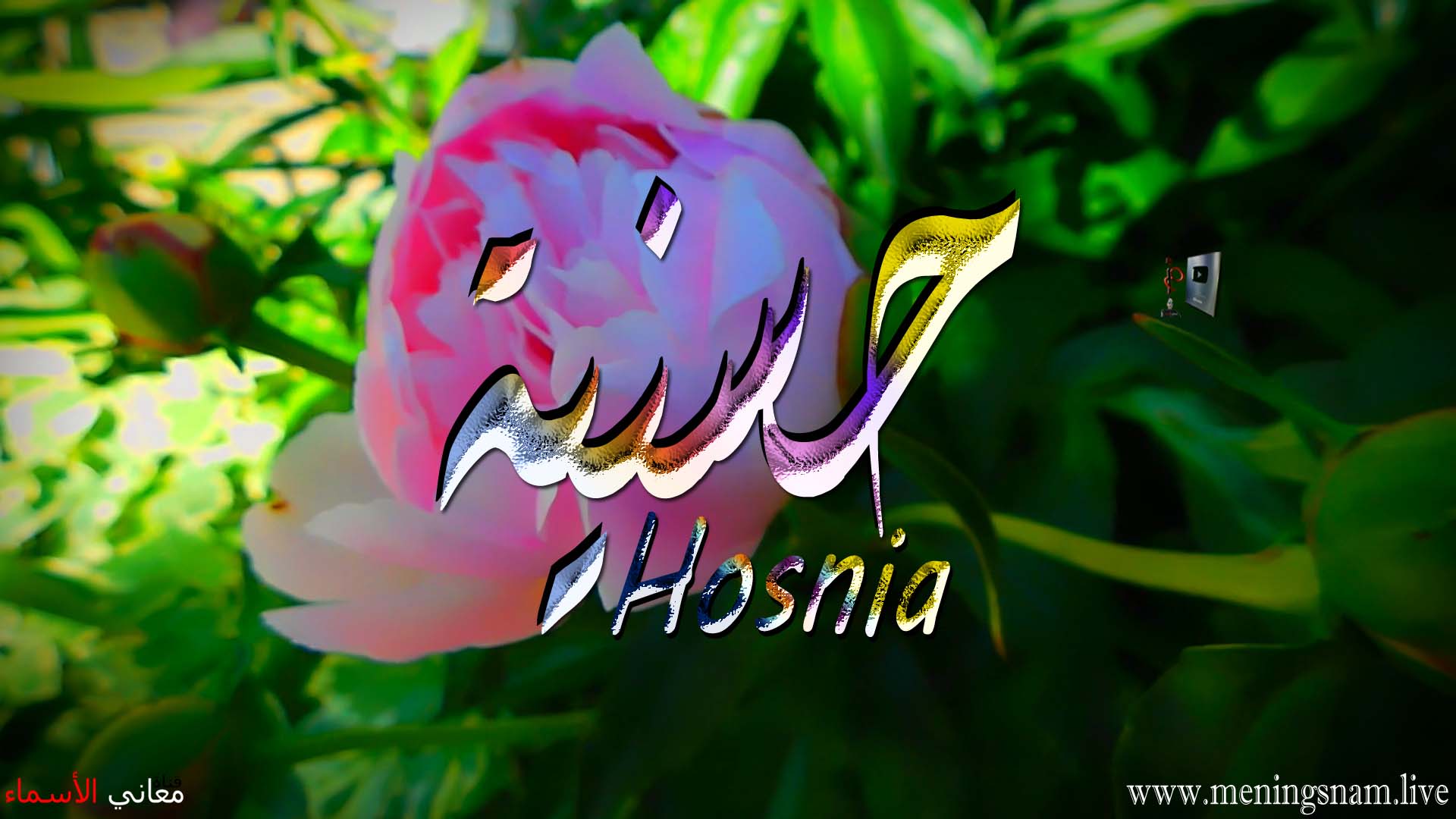 معنى اسم, حسنية, وصفات, حاملة, هذا الاسم, Hosnia,