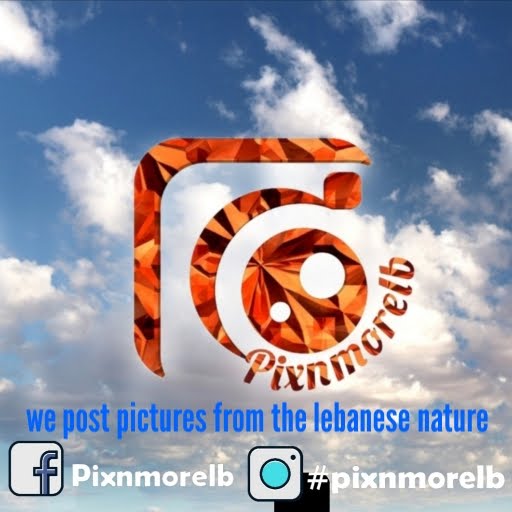 pixnmore lb