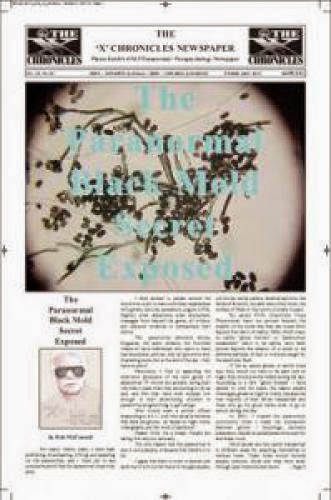 The February 2010 Edition Of The X Chronciles Newspaper