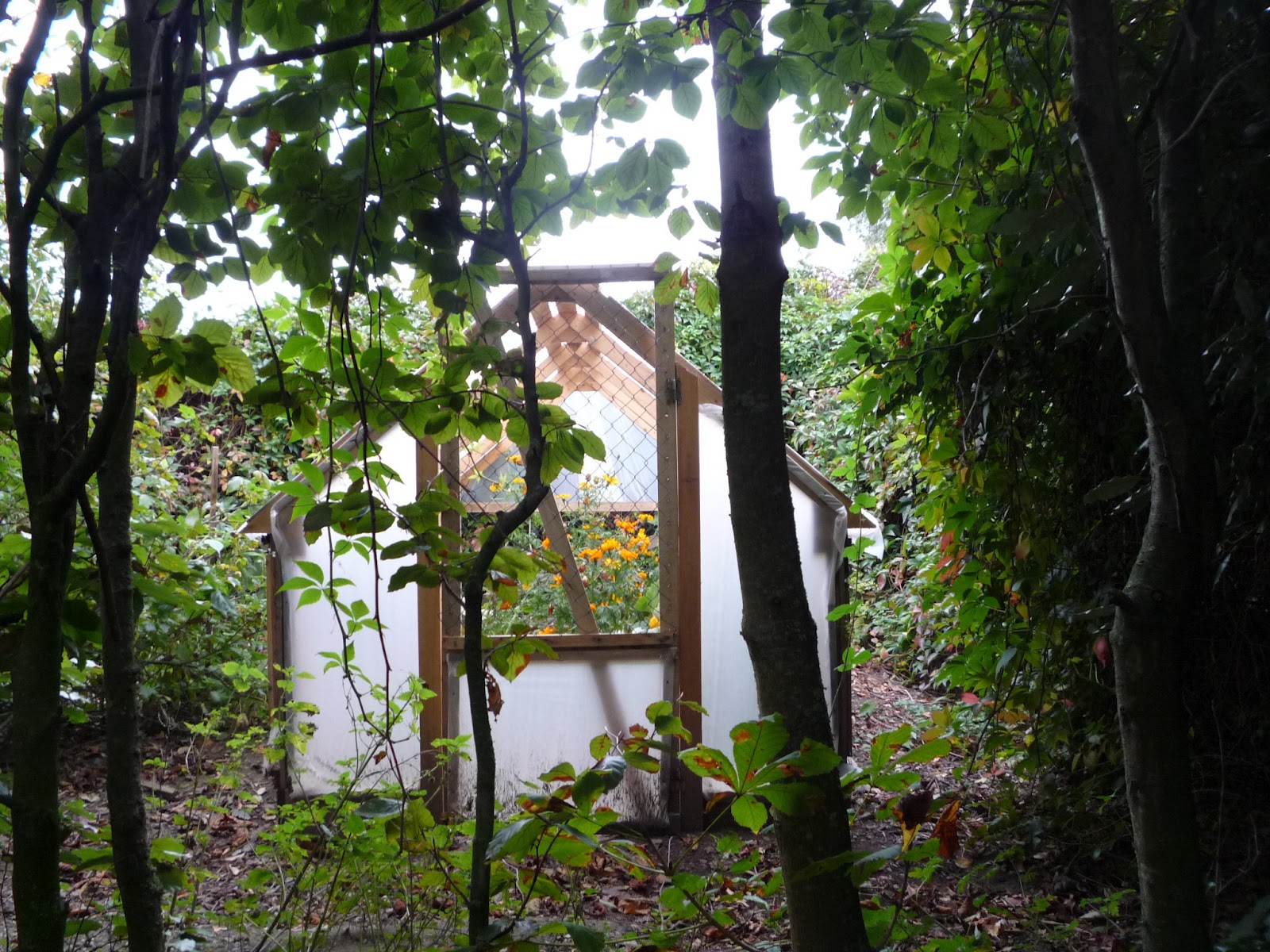 wooden greenhouse designs